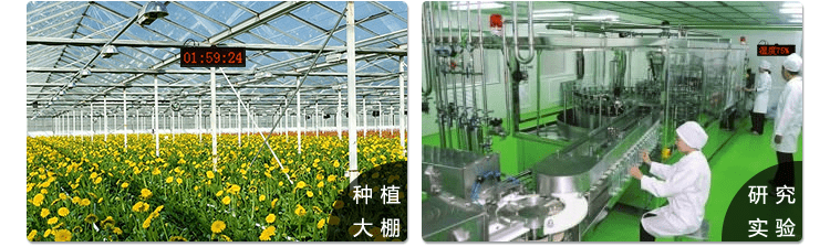 溫濕度點(diǎn)陣時間屏應(yīng)用場景 溫濕度點(diǎn)陣時間屏應(yīng)用場景